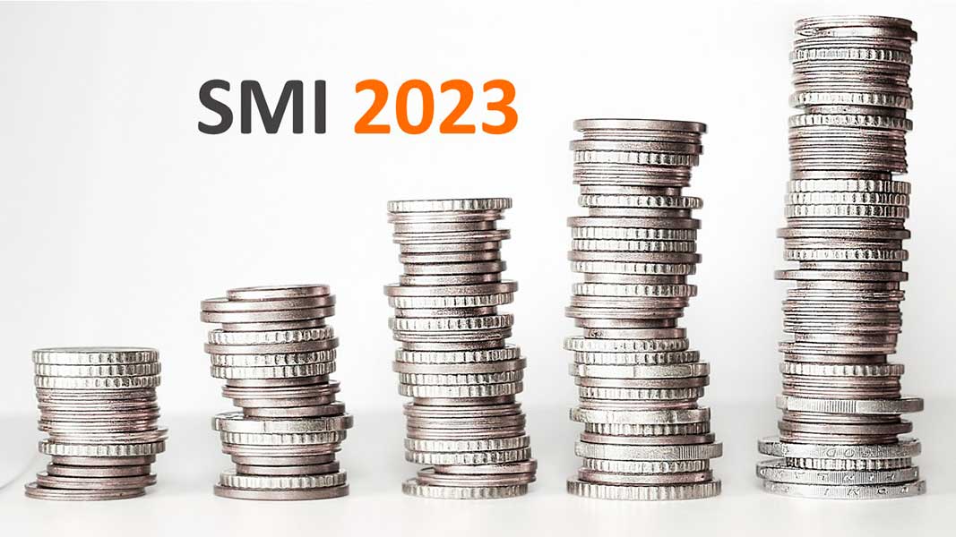 Salario mínimo interprofesional 2023